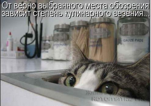 Хорошее настроение с котоматрицами