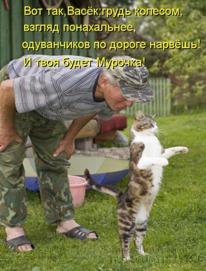 Хорошее настроение с котоматрицами