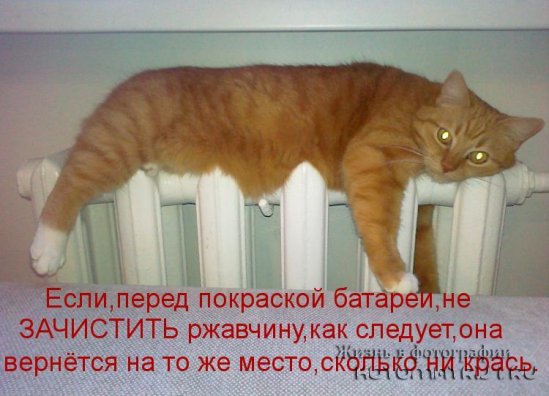 Хорошее настроение с котоматрицами