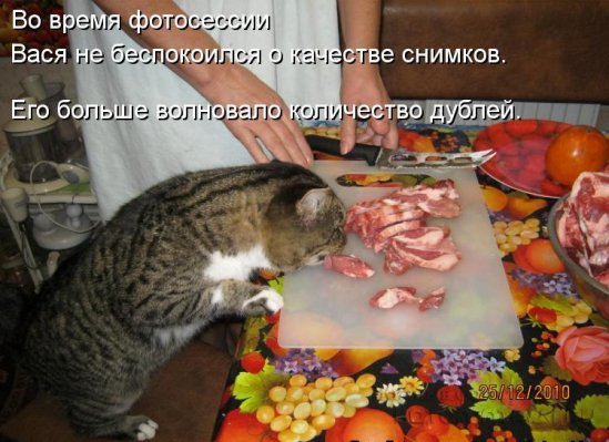 Хорошее настроение с котоматрицами