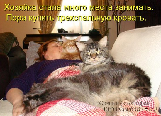 Хорошее настроение с котоматрицами