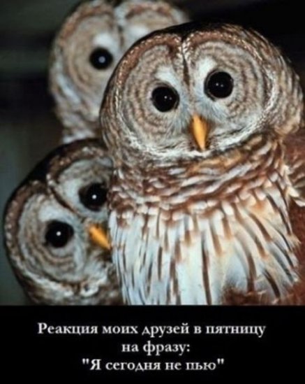 Хорошее настроение с демотиваторами
